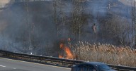 Heat, dryness trigger Hamilton burn ban