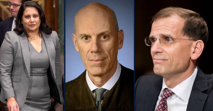 Whole court should rethink 'dangerous' ruling that helped Trump admin avoid contempt: Petition