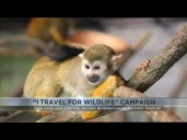 Tucson Airport and Reid Park Zoo unite to fight wildlife trafficking
