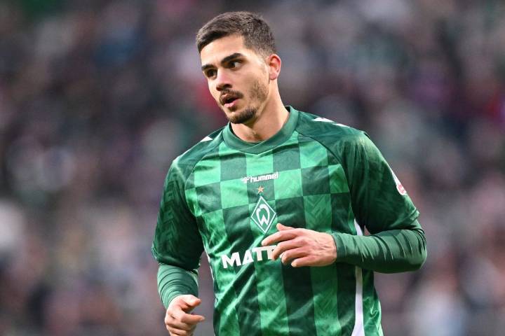 24 Facts About Andre Silva