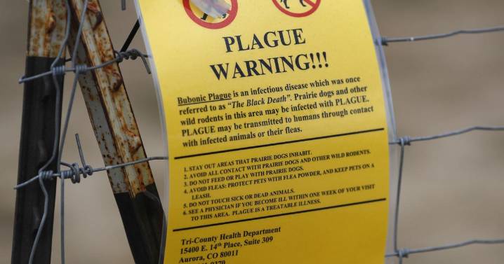 Human plague reported in NM for first time this year