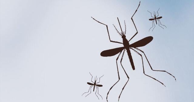 Iowa reports first West Nile virus case of 2025