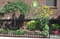 Two Bay Ridge blocks win prestigious BBG awards