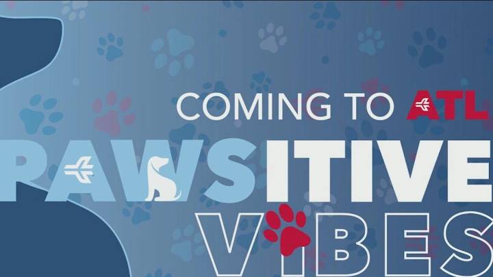 Therapy dogs offering comfort coming to Hartsfield