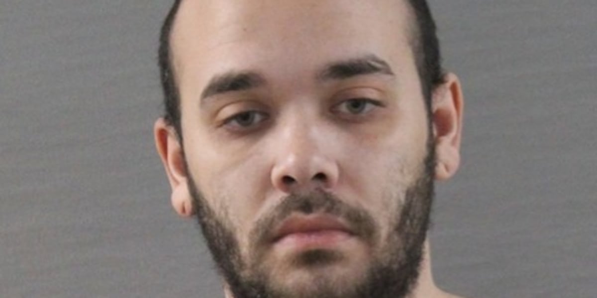 Bushland man pleads guilty to mother’s murder