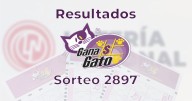 Resultados del Gana Gato 2897 del 26 de agosto del 2025