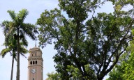 Donald Trump no defenderá la constitucionalidad de las subvenciones a universidades con importante matrícula hispana