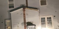 Woman wins in court after bat infestation plagued her home for months