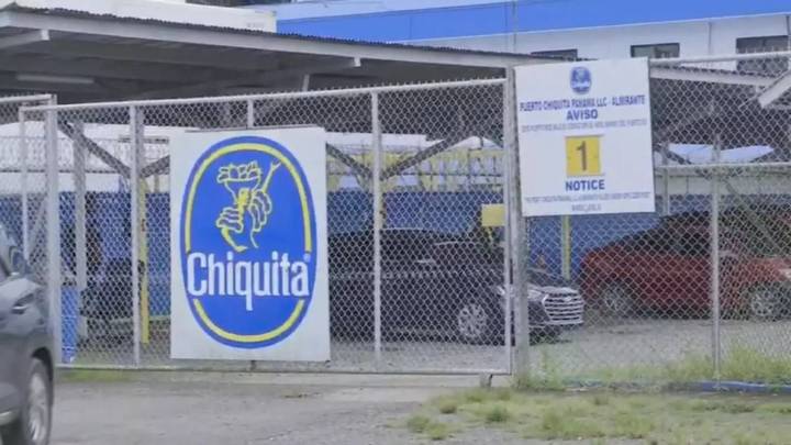 Trasnacional bananera Chiquita retornará a Panamá en 2026 (+Foto)