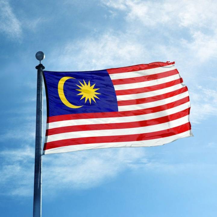 DNB gets capital injection by Malaysian carriers