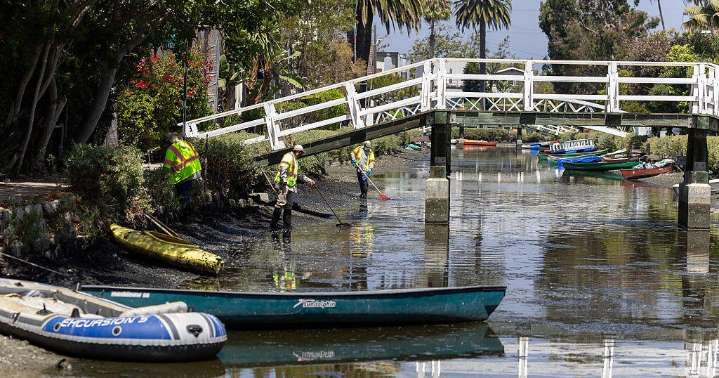 Venice dog deaths prompt public health warnings for canal waters