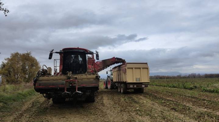 UAGA niega haber criticado la alerta roja y reclama regular el uso agrícola en Aragón