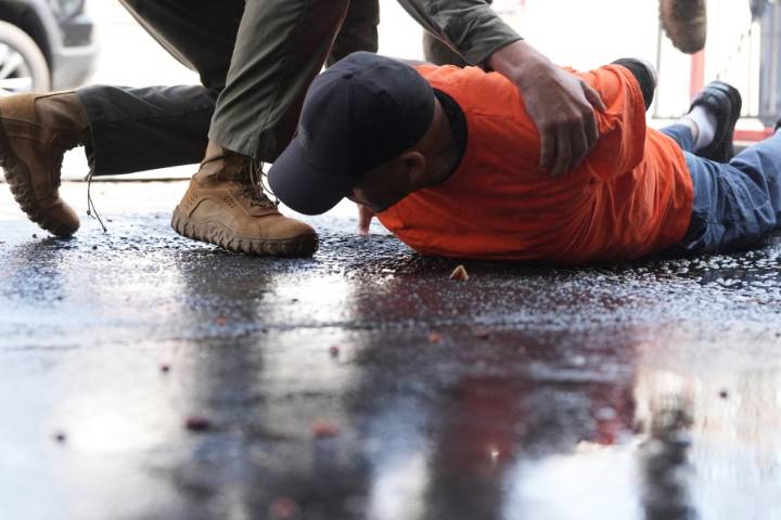 Man struck and killed on freeway after fleeing immigration agents, California official says