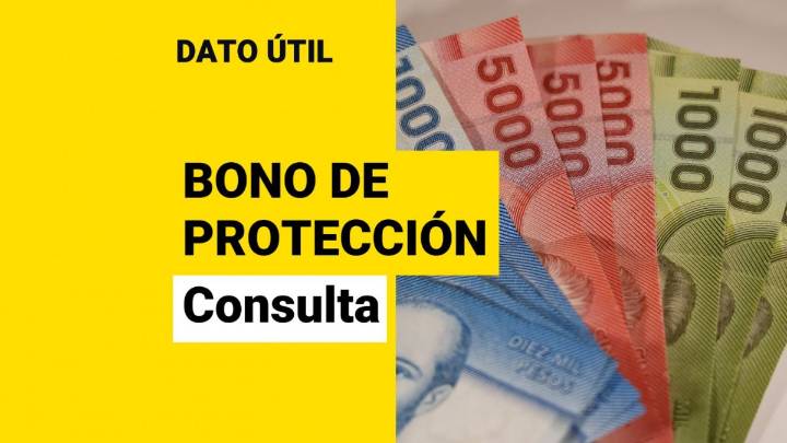 Así puedes conocer si te corresponde el Bono de protección