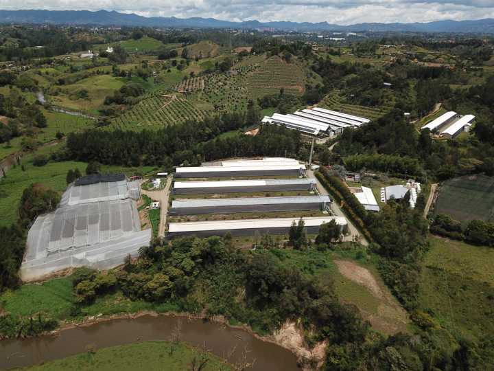 Certificación ICA reconoció prácticas sostenibles de Avícola Kakaraka