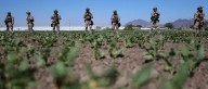En siete meses y medio 1.2 millones de indocumentados dejaron la fuerza laboral de EU