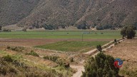 Despojan de nómina a empleado agrícola en Ensenada
