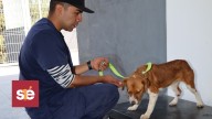 Huixquilucan impulsa más de 600 atenciones veterinarias gratuitas para mascotas en 2025