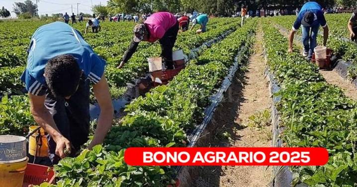 ¿Quiénes podrán cobrar el nuevo subsidio de 1,000 soles enviado por el Gobierno? Esto es lo último que se sabe