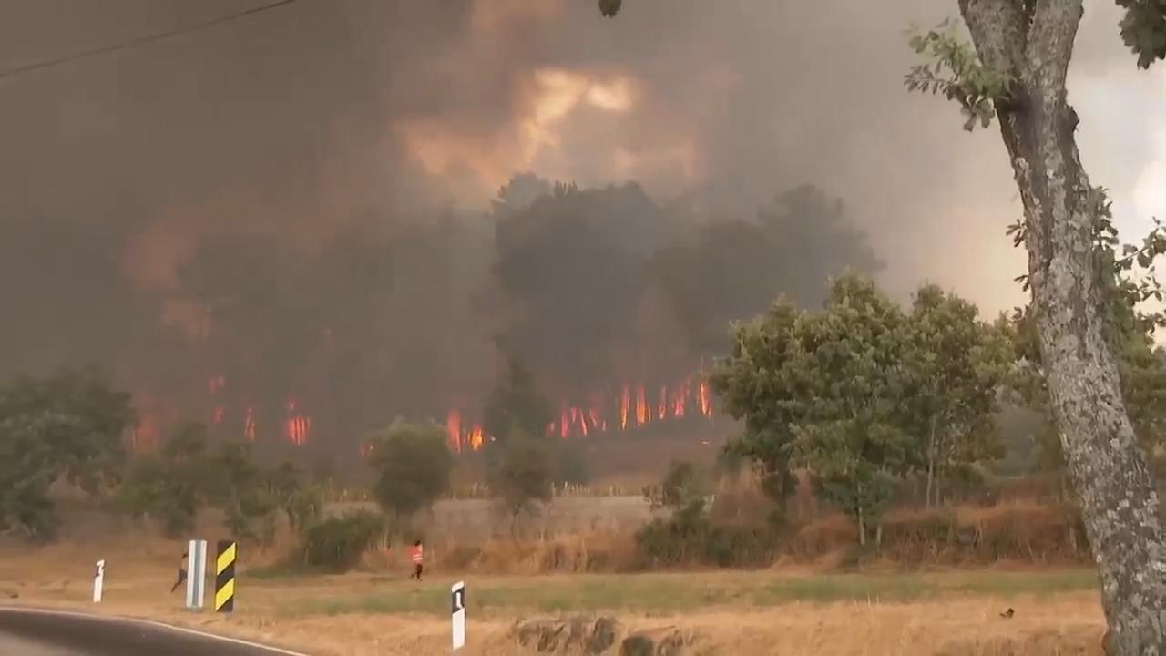Firefighters and local residents battle wildfires in Portugal
