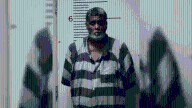 Palestine man arrested after 40 firearms discovered in home, vehicle