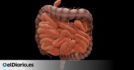 La evolución pisa el acelerador en el intestino humano, que cambia más que el de otras especies