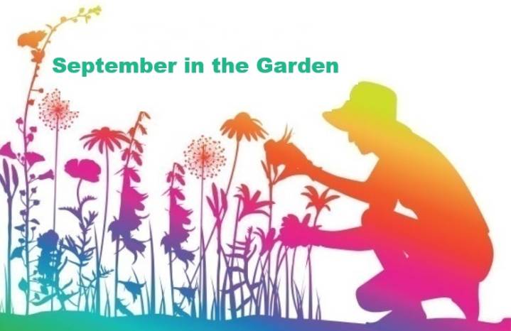 September in the Garden for Central Florida