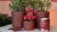 Con esas latas que guardaste para usar alguna vez, hacé estas increíbles macetitas para tus suculentas, que son una ternura