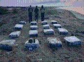 Con 800 envoltorios de marihuana detienen a indocumentado en Falcón