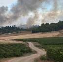 Extinguido el incendio declarado en el Ecoparque