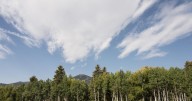 A Balmy Baldy Sky