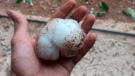 Fuertes tormentas de granizo y viento azotan el Campo de Cariñena y obligan a detener vehículos en Paniza