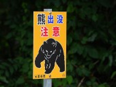 Elderly ‘bear attack’ victim was actually killed by son
