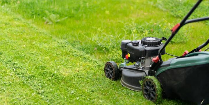 Why Mowing Your Grass When It’s Wet Is Always a Bad Idea
