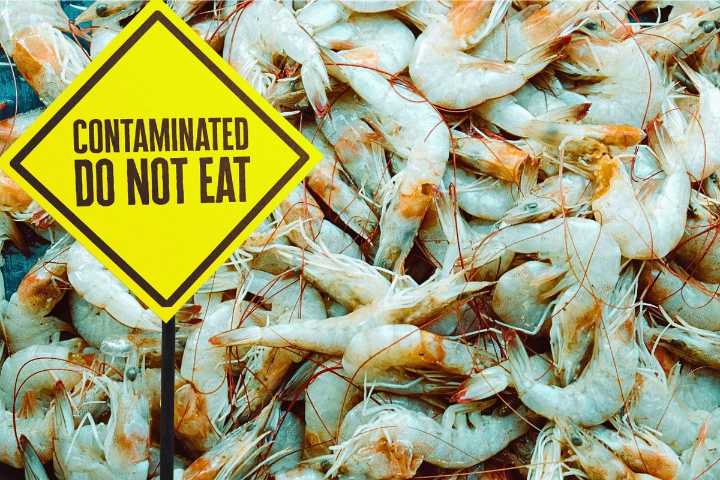 FDA Warns About Contaminated Shrimp Sold in Kentucky Walmarts