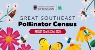 Great Southeast Pollinator Census set for Aug. 22
