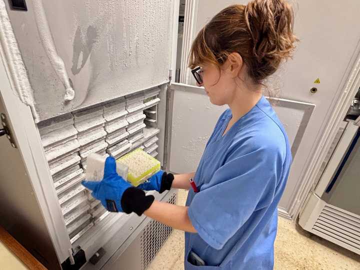 El Biobanco de ISABIAL triplica el número de muestras biológicas en cinco años