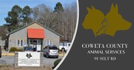 Twelve dogs at risk of euthanization; deadline Aug. 13