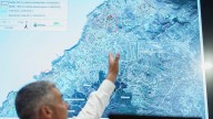 Canarias se blinda contra la filoxera: exige al Estado el freno a la entrada de uva de la Península