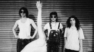 Geese Share '100 Horses' From 'Getting Killed'
