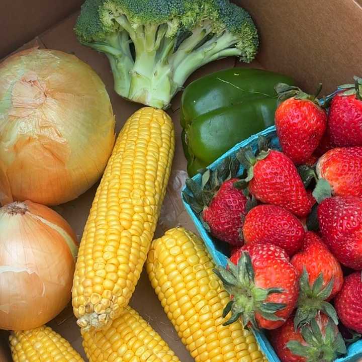 Entrega gratuita de alimentos en Durham
