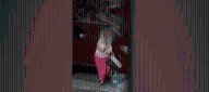 Animal services releases video of Spring Valley woman allegedly abusing Chihuahua