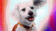 Revelan 4 superpoderes secretos de Krypto de Superman (2025)