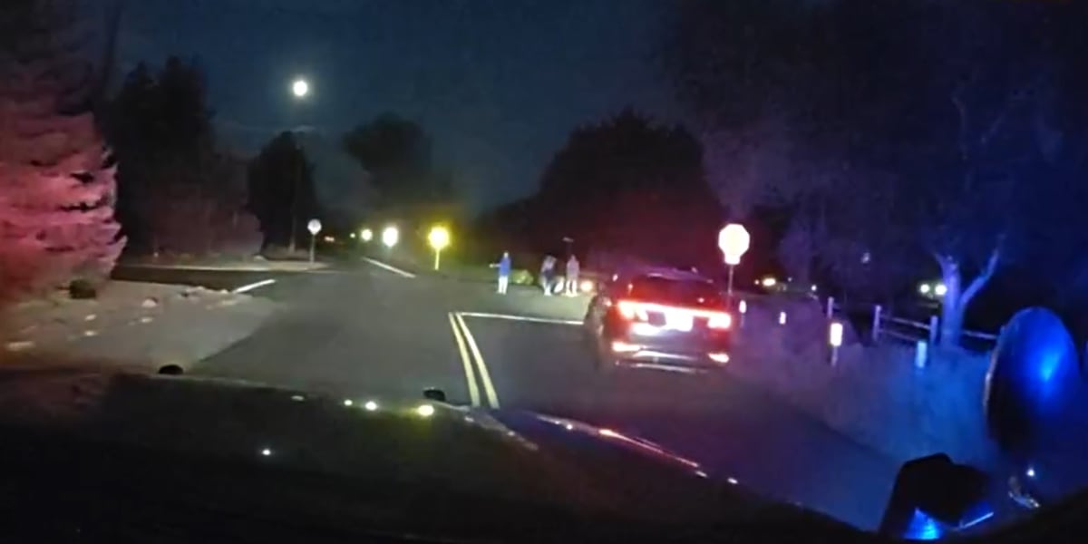 Woman arrested on suspicion of DUI falling out of her car onto the road