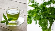 Infusión de perejil: aliada natural contra cólicos y retención de líquidos