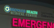 Toddler girl hospitalized after getting attacked by dog in Fort Lauderdale, officials say