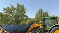 El almendro espera una cosecha del  70 por ciento motivada por las lluvias