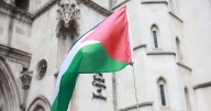 Palestine Action has committed ‘violence’ and ‘significant injury’, No 10 says