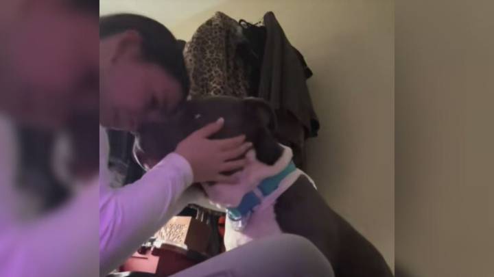 Georgia Woman In Tears After Being Forced To Surrender Her Dog Over Strict Policy