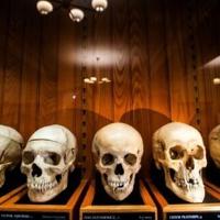Unnamed skeletons? US museum at center of ethical debate